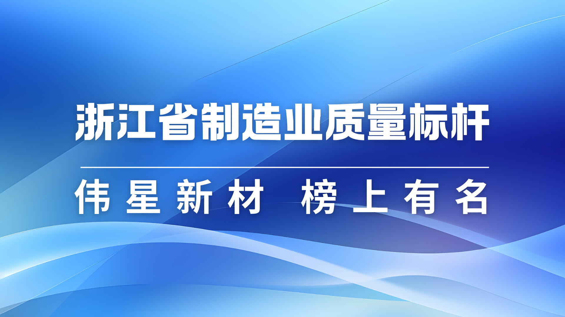 710公海官网新材获评2024年浙江省制造业质量标杆